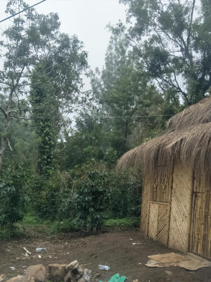 Jungle Retreat Natural Stay Kombaikadu Kodaikanal Exteriör bild