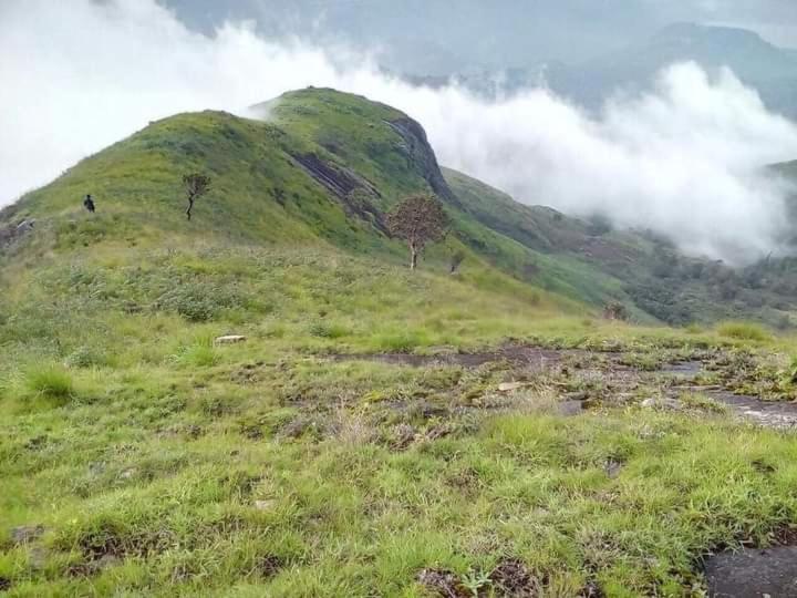 Jungle Retreat Natural Stay Kombaikadu Kodaikanal Exteriör bild